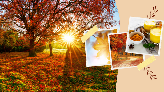 Embracing Autumn’s Golden Spice: The Health Benefits of Turmeric